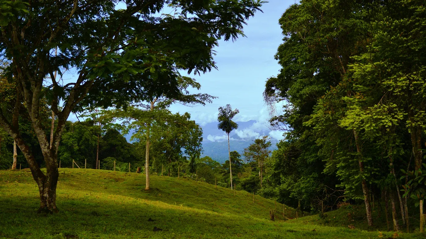 Indigenous Territory